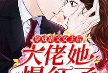 求沈星辰霍御小说免费资源-侠客文学