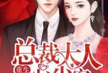 小说《重生豪门，总裁大人心尖宠！》在线章节阅读-侠客文学