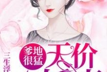 爹地很猛：天价小娇妻小说最新章节在哪里可以读到？-侠客文学