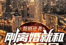 在线寻找叶秋白的小说，赘婿逆袭：刚离婚就和校花同居免费阅读-侠客文学