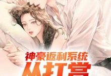 完整版的神豪返利系统：从打赏女团开始小说在哪里可以免费读到？-侠客文学