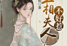 丞相夫人不好惹（盛安蓝沈白屿乐冉娜宁）在线免费阅读-侠客文学