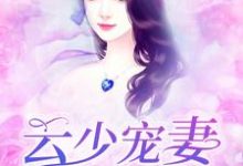 颜暮云锐祁的故事在哪本书里？免费阅读云少宠妻有点甜-侠客文学
