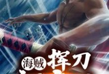 海贼：挥刀就变强（白羽）在线免费阅读-侠客文学