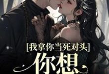 想读黎娇沈颜的故事，哪里可以免费找到我拿你当死对头，你想钻我被窝？？-侠客文学