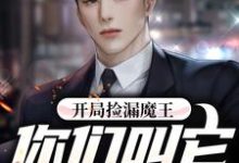 开局捡漏魔王，你们叫它史莱姆?小说无弹窗阅读的网站推荐-侠客文学