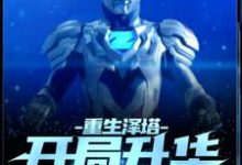 小说《重生泽塔，开局升华赛迦形态！》章节免费阅读-侠客文学