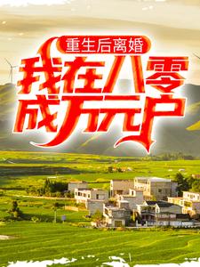 小说《重生后离婚，我在八零成万元户》在线章节阅读