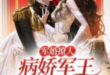 小说《军婚撩人，病娇军王狂求我贴贴》章节免费阅读-侠客文学