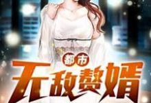 都市无敌赘婿主角周天正林婉玉小说完结版章节在线阅读-侠客文学