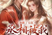 抱歉了皇叔,丞相被我撬走了这本小说在哪里可以看?哪里有免费试读章节?-侠客文学