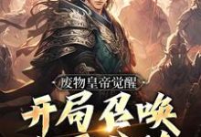 废物皇帝觉醒,开局召唤大雪龙骑免费阅读,废物皇帝觉醒,开局召唤大雪龙骑辰渊-侠客文学