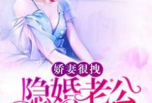 夏浅溪薄夜白是哪本书的主角？寻找娇妻很拽：隐婚老公，宠翻天免费阅读-侠客文学