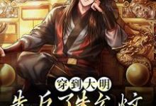 穿到大明,先反了朱允炆的江山这本小说完结了吗?免费查看最新章节-侠客文学