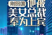 完结版《刚回国,他被美女总裁奉为上宾》在线免费阅读-侠客文学