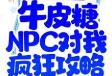 杀穿副本后，牛皮糖NPC对我疯狂攻略小说，杀穿副本后，牛皮糖NPC对我疯狂攻略免费阅读-侠客文学