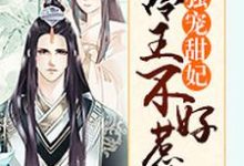 秋月伊百里陌寒司徒晨阳暖春的小说在哪里看？免费在线阅读独宠甜妃：冷王不好惹-侠客文学