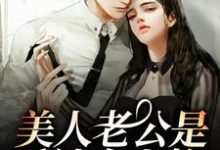 想读陈荒年许弥的故事，哪里可以免费找到美人老公是反社会人格？-侠客文学