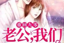 重回九零：老公，我们不离婚小说的免费阅读版本在哪里可以找到？-侠客文学