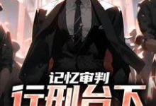 《记忆审判:行刑台下,看哭众人》全集免费在线阅读(石岩)-侠客文学