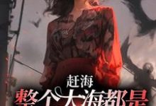 《赶海：整个大海都是我的黄金渔场》全集免费在线阅读（陈芷瑶）-侠客文学