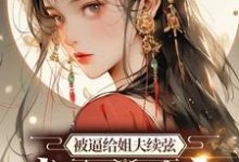 顾云合谢绥是哪本书的主角？被逼给姐夫续弦，我直接暴富免费读-侠客文学