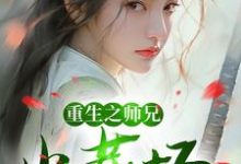 重生之师兄火葬场章节免费在线阅读，谢揽星陆衔月完结版-侠客文学