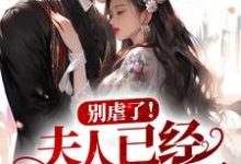 别虐了！夫人已经怀孕出逃了！这本小说在哪里可以看？哪里有免费试读章节？-侠客文学