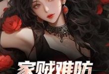 家贼难防：老婆是个扶弟魔许野陈青青小说免费阅读-侠客文学