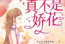 少帅，夫人真不是娇花！顾轻舟司行霈，少帅，夫人真不是娇花！在线无弹窗阅读-侠客文学