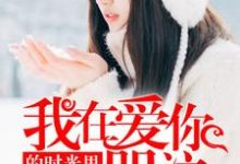 我在爱你的时光里哭泣小说无弹窗阅读的网站推荐-侠客文学