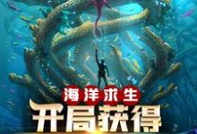 海洋求生：开局获得提示外挂小说无弹窗阅读的网站推荐-侠客文学