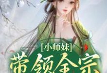 言望舒秦无弦的小说在哪里看？免费在线阅读小师妹带领全宗卷出天际-侠客文学