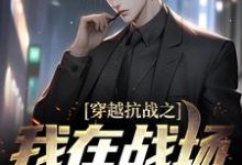 穿越抗战之我在战场杀鬼子小说完结版章节免费阅读-侠客文学