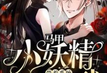 小说《马甲小妖精带着系统玩转全球》章节阅读-侠客文学