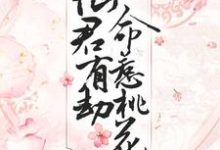 春木李泓萧的完整故事在哪里？读仙君有劫，命惹桃花小说-侠客文学