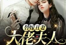 免费阅读苏糖霍瑾琛为主角的小说，替嫁丑妻：大佬夫人A爆了在线看-侠客文学