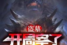 求盗墓：开局宰了怒晴鸡小说免费资源-侠客文学