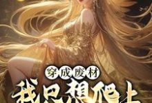 穿成废材,我只想爬上女帝龙床赵昊姜婉儿在线章节免费阅读-侠客文学