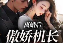 离婚后，傲娇机长求复合苏娆顾南霆在线章节免费阅读-侠客文学