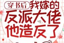 主角叫吕颂梨秦晟小说穿书后，我嫁的反派大佬他造反了章节免费阅读-侠客文学