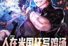 免费在线阅读人在米国狂写鸡汤,洗脑外国佬小说的正规网站有哪些?-侠客文学