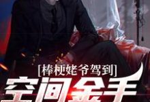 主角张大标秦淮茹小说完结版在线阅读，棒梗姥爷驾到，空间金手指开启！免费看-侠客文学