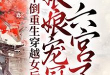 男女主人公叫宁婉音赫连祁的小说免费资源-侠客文学