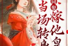 妻妾同娶？我当场转身嫁他皇叔沈天娇龙乘风小说在线章节目录阅读最新章节-侠客文学