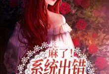 小说《麻了！系统出错，我穿到了盲盒里》在线章节阅读-侠客文学