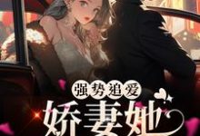 强势追爱：娇妻她又甜又野免费阅读，强势追爱：娇妻她又甜又野章节目录-侠客文学