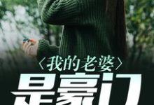 已完结小说《我的老婆是豪门》在线章节阅读-侠客文学