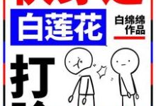 快穿之白莲花打脸专业户孟西梅孟何川小白小说在线章节免费阅读-侠客文学