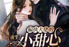 重生：偏执大佬的小甜心又娇又飒这本小说怎么样？免费在线阅读试试-侠客文学